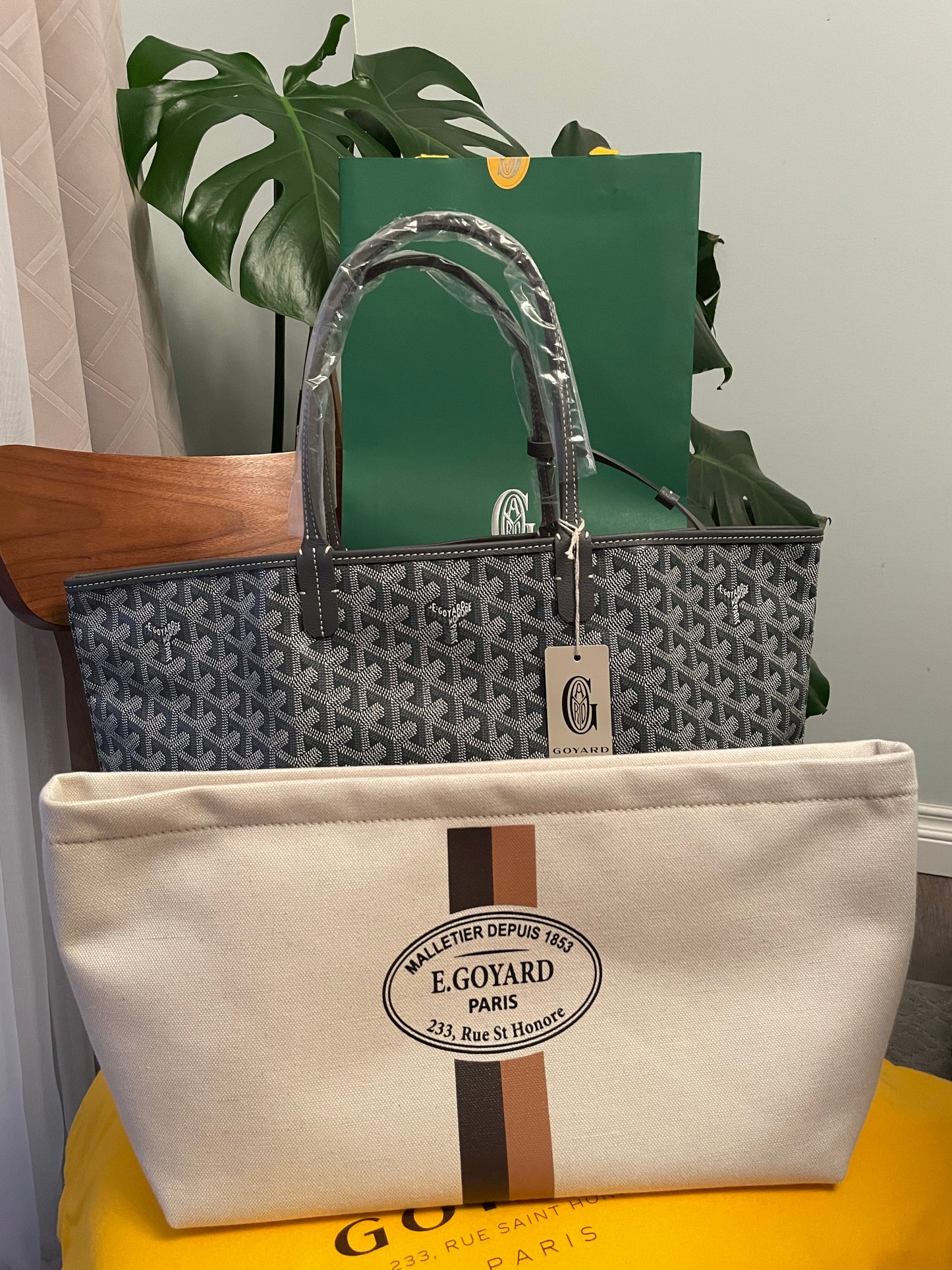 Saint Louis PM Bag ( w/ organizer)