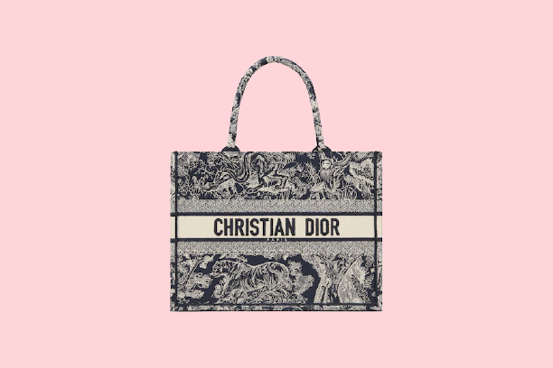 SMALL DIOR BOOK TOTE *PRE ORDER*