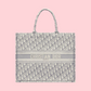 Pre order:DIOR BOOK TOTE large