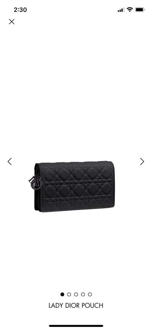 LADY DIOR POUCH